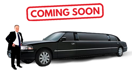 Stretch Limo 10 Pax