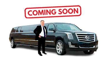 Stretch Limo 20 Pax